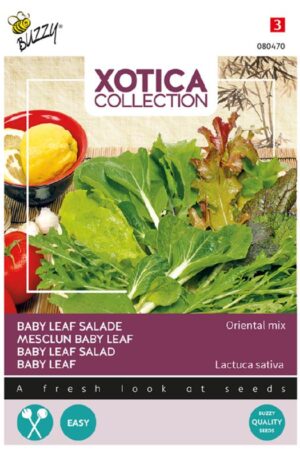 Baby Leaf Salad, Oriental mix Xotica Bz H