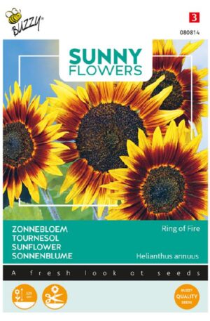 Dísznapraforgó  Ring of Fire Sunny Flowers Bz H