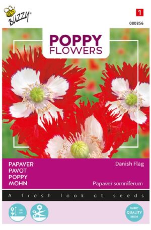Díszpipacs Danish Flag Bz Poppy Flower H