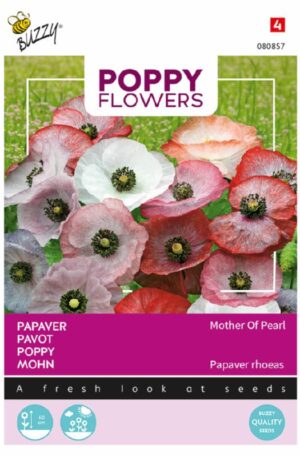 Díszpipacs Poppy Mother Of Pearl Bz Poppy Flower H