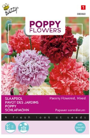 Díszpipacs Pipacs bazsarózsavirágú Paeoniflorum Double Mixed Bz Poppy Flower H