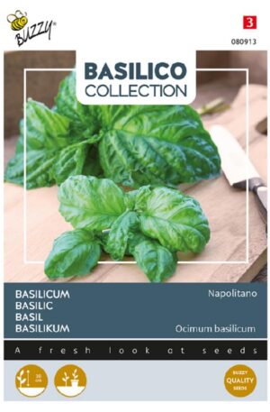 Bazsalikom Napolitano Salátalevelű Basilico Collection Bz H