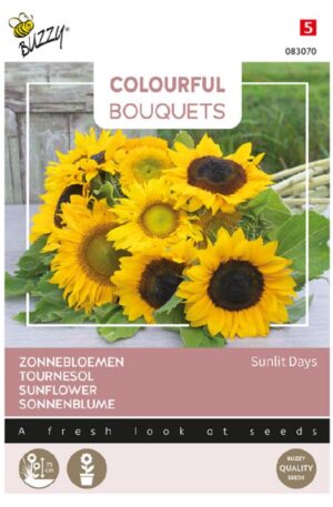 Dísznapraforgó Sunlit Days Bz Colourful Bouquets H