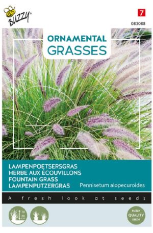 Évelő toll borzfű Fountain Grass Bz Ornamental Grasses H