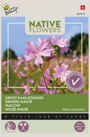 Erdélyi mályva Mallow Bz Native Flowers H