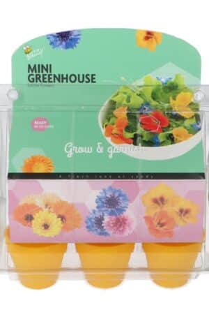 Mini üvegház Edible Flowers Bz H