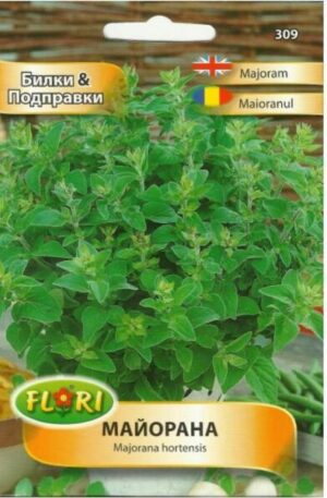 Majoranna Florian Bg