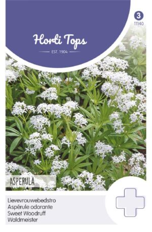 Szagos müge Asperula Ht H