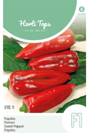 Paprika Rossano F1 Ht H