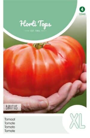 Paradicsom Brutus Ht H