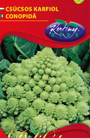 Csúcsos karfiol Delikátesz RK