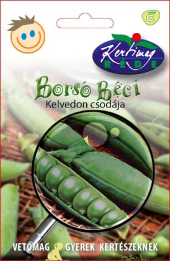 Borsó Béci Gyerek RK