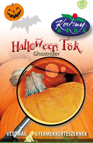 Halloween Gyerek tök RK