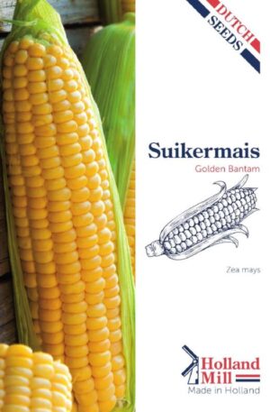 Csemegekukorica Golden Bantam  HM H