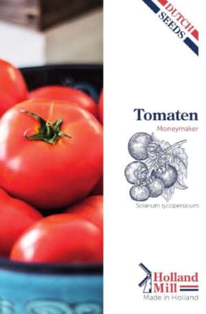 Paradicsom Moneymaker HM H