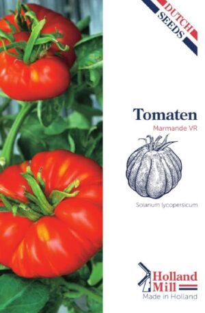 Paradicsom Marmande VR HM H
