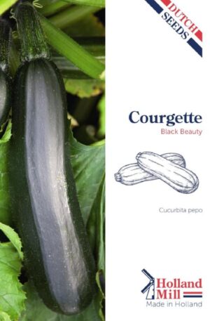 Cukkini Black Beauty HM H
