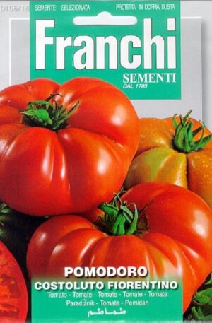 Paradicsom Costoluto Fiorentino Franchi H