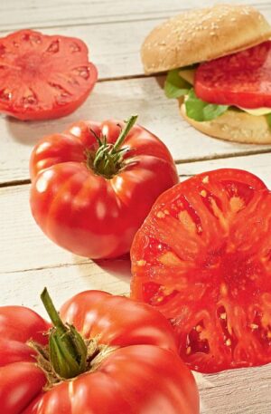 Buffalosteak F1 CL-SP Paradicsom