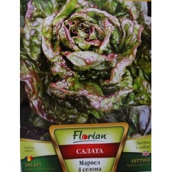 Saláta Marvel Florian Bg