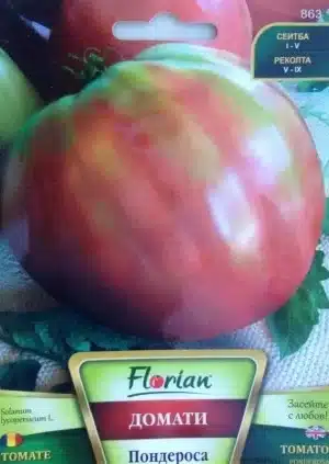 Paradicsom Ponderosa Florian Bg