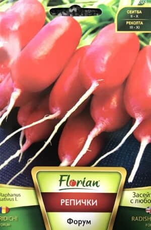 Retek Forum Florian Bg