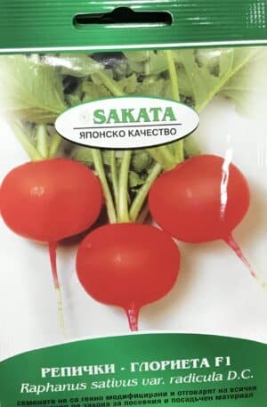 Retek Glorietta F1 Sakata