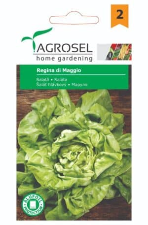 Saláta Regina di Maggio Ag2