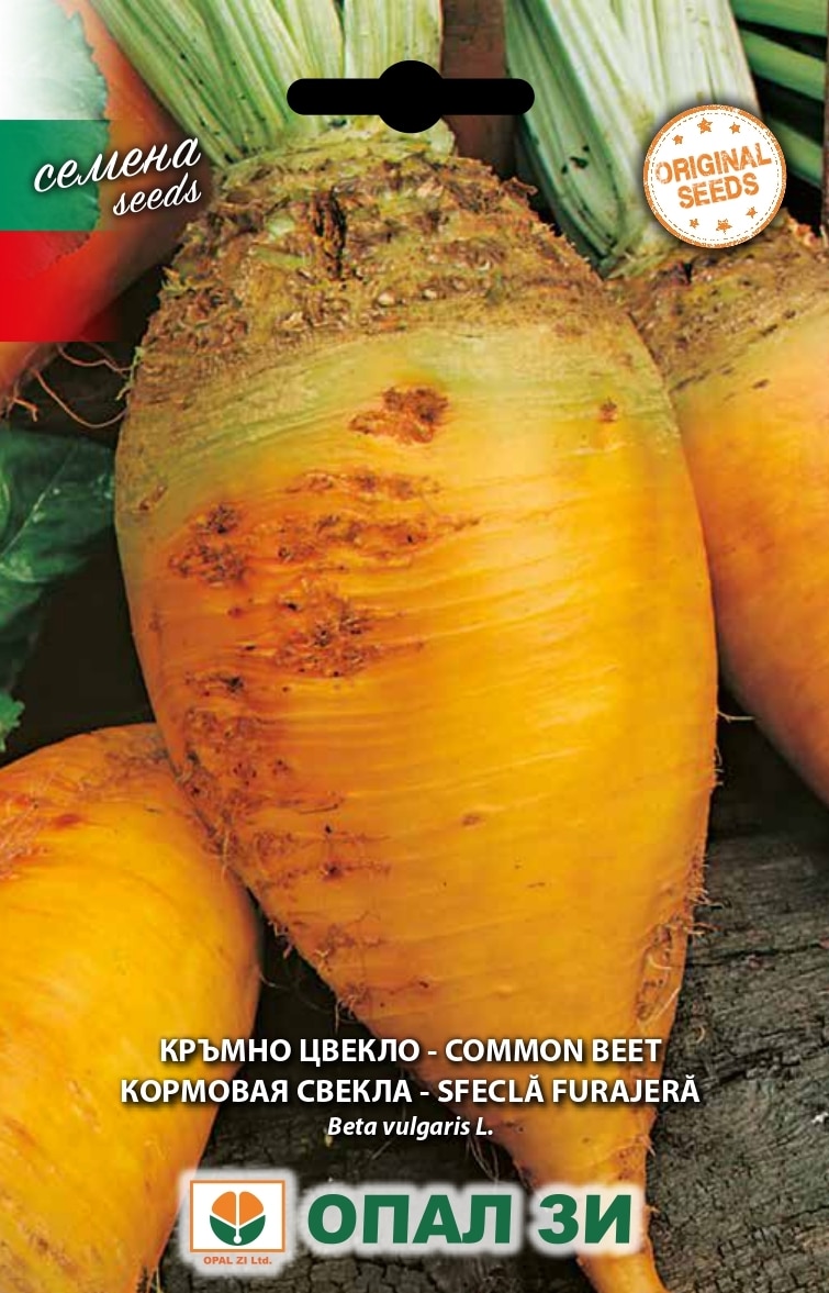 Takarmányrépa Opal Bg