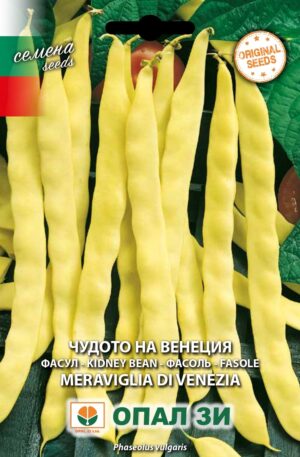 Bab Meraviglia di Venezia Opal Bg