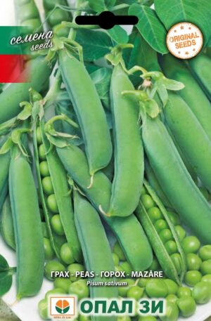 Borsó Ran 1 Opal Bg