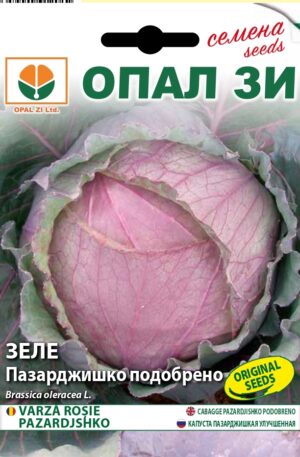 Káposzta Pazardjishko Opal Bg