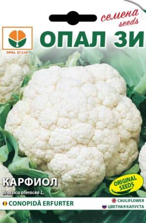 Karfiol Erfurter Opal Bg