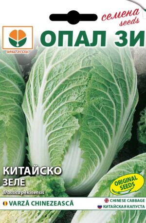 Kínai kel Hilton Opal Bg