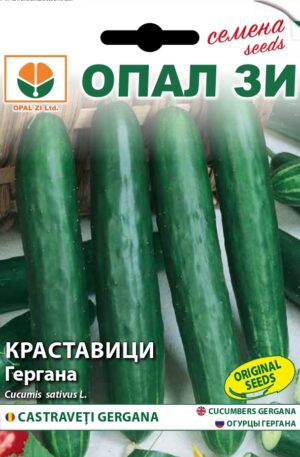 Uborka Gergana Opal Bg