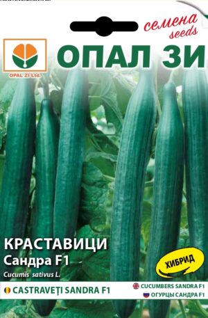 Uborka Sandra F1 Opal Bg