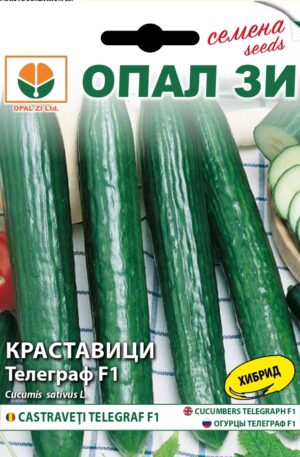 Uborka Telegraf F1 Opal Bg