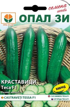 Uborka Tessa F1 Opal Bg