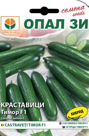 Uborka Timor F1 Opal Bg