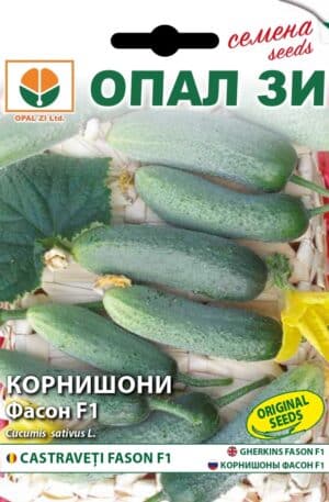 Uborka Fason F1 Opal Bg