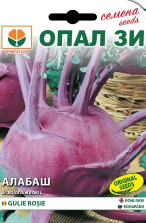 Karalábé Purple Opal Bg