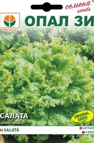 Saláta Gentilina Opal Bg