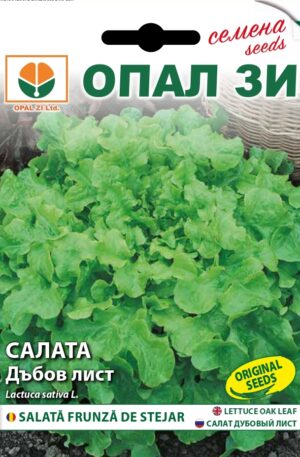 Saláta Green Bowl Oak Leaf (tölgy levelű) Opal Bg