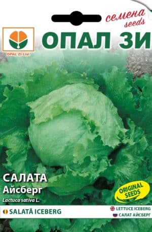 Saláta Iceberg Opal Bg