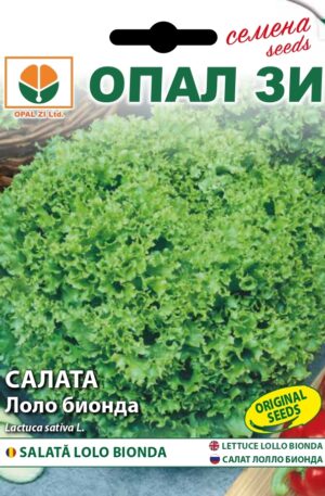 Saláta Lolo Bionda Opal Bg