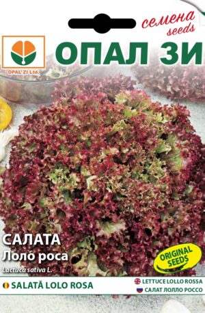 Saláta Lolo Rosa Opal Bg