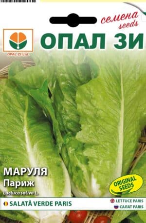 Saláta Paris white Opal Bg