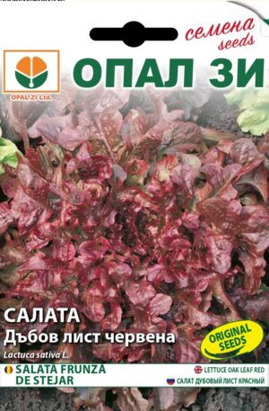 Saláta Oak Leaf  Red Bowl (tölgy levelű) Opal Bg