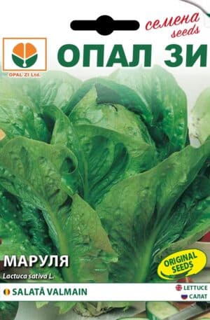 Saláta Valmain Opal Bg