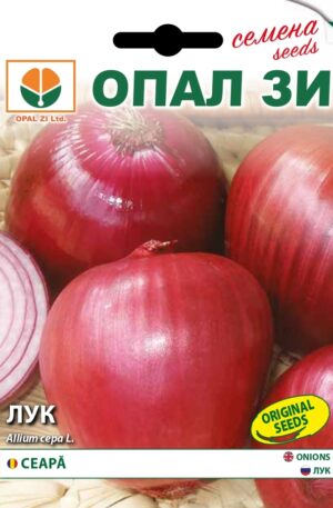 Hagyma Vernina di Firenze Opal Bg